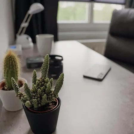 *neu*family&work*wlan*ntflx*cozy*zentrum*toplage Chemnitz